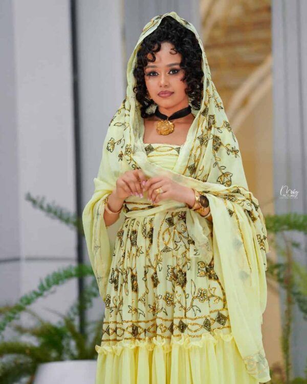 New Modern Chiffon Habesha Kemis with Gold Tilf | Fidel Markato