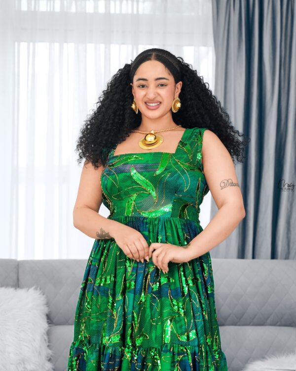 ሓበሻ  ሽፎን ቀሚስ ዲዛይን Habesha Chiffon Dress – Luxury Ethiopian & Eritrean Occasion Wear
